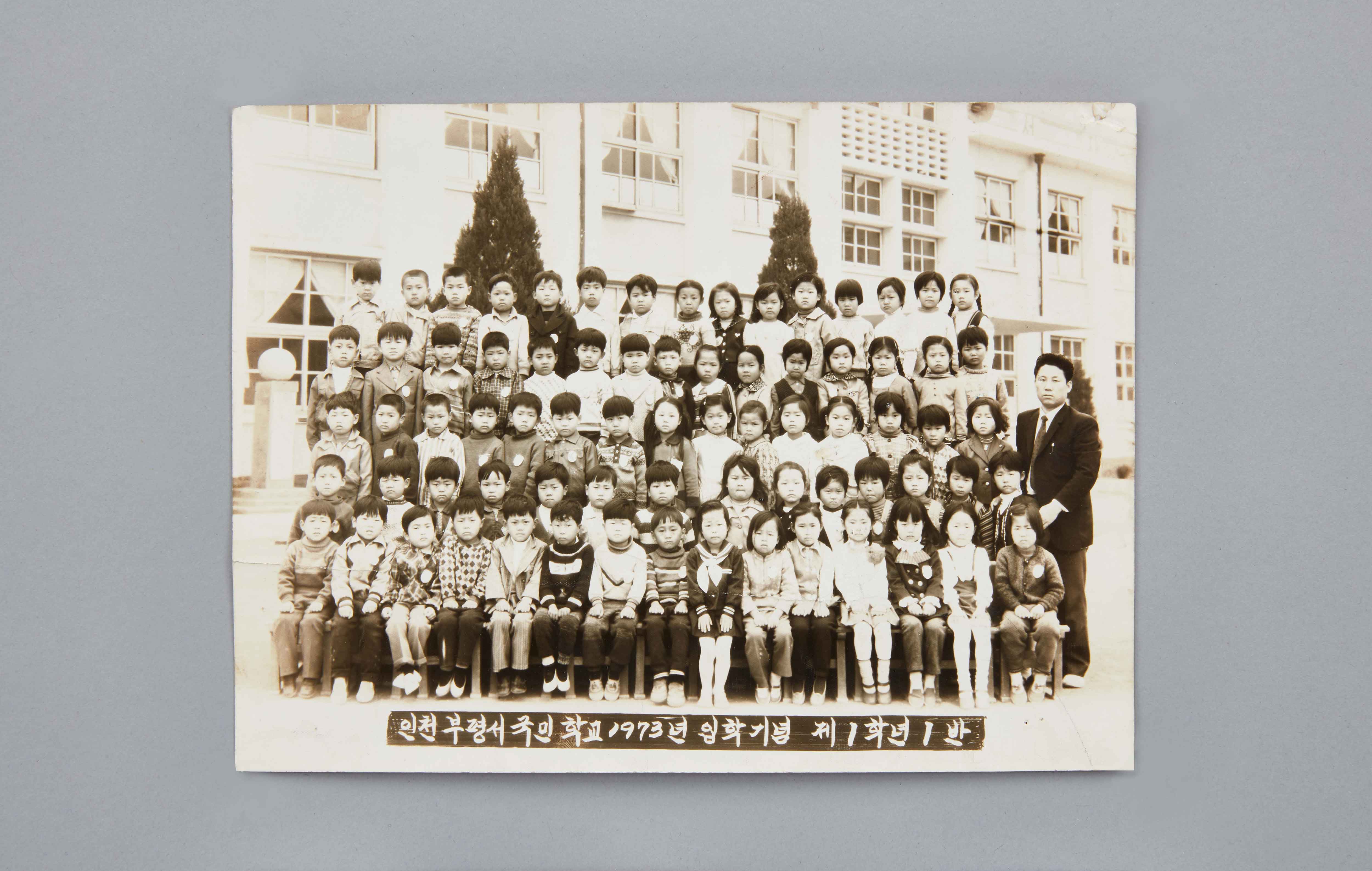 부평서초등학교 입학기념 사진 이미지